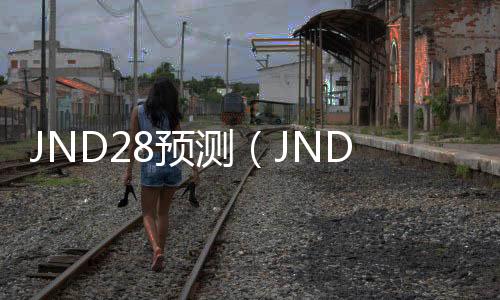 JND28预测(JND28预测软件下载)